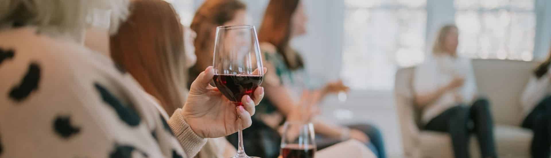 A group of women sitting in a living room talking and drinking red wine