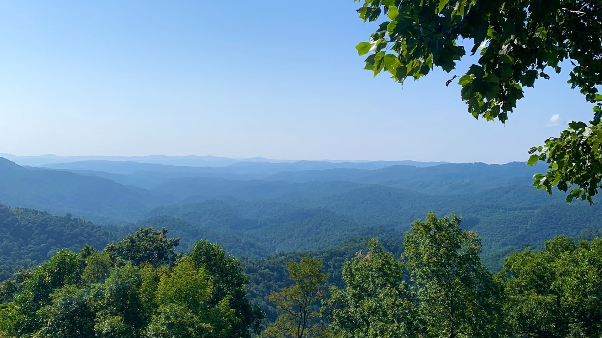 View of an expansive mountain range covered in green trees with blue skies overhead